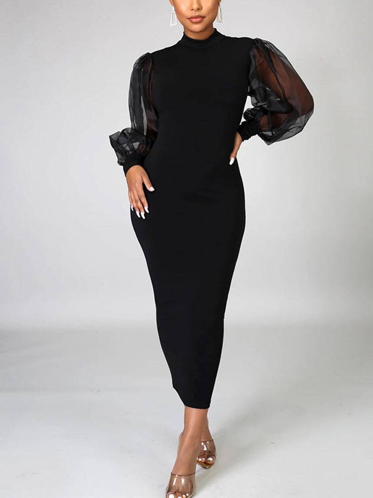 Women's Elegant Mesh Long Sleeve Dress