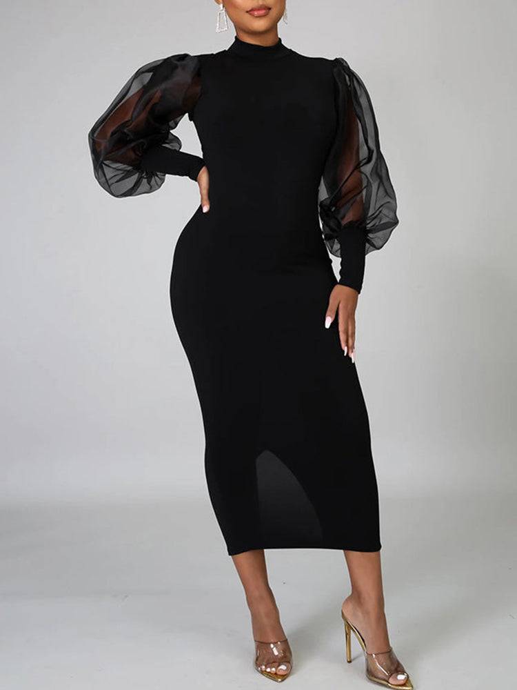 Women's Elegant Mesh Long Sleeve Dress